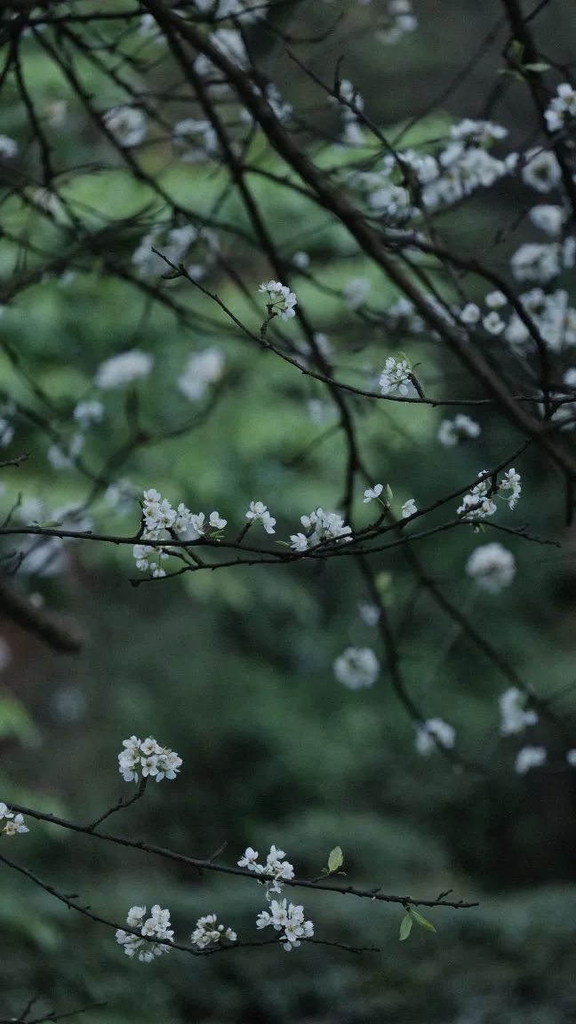 微信图片_20200506232431.jpg 微信图片_20200506232431.jpg